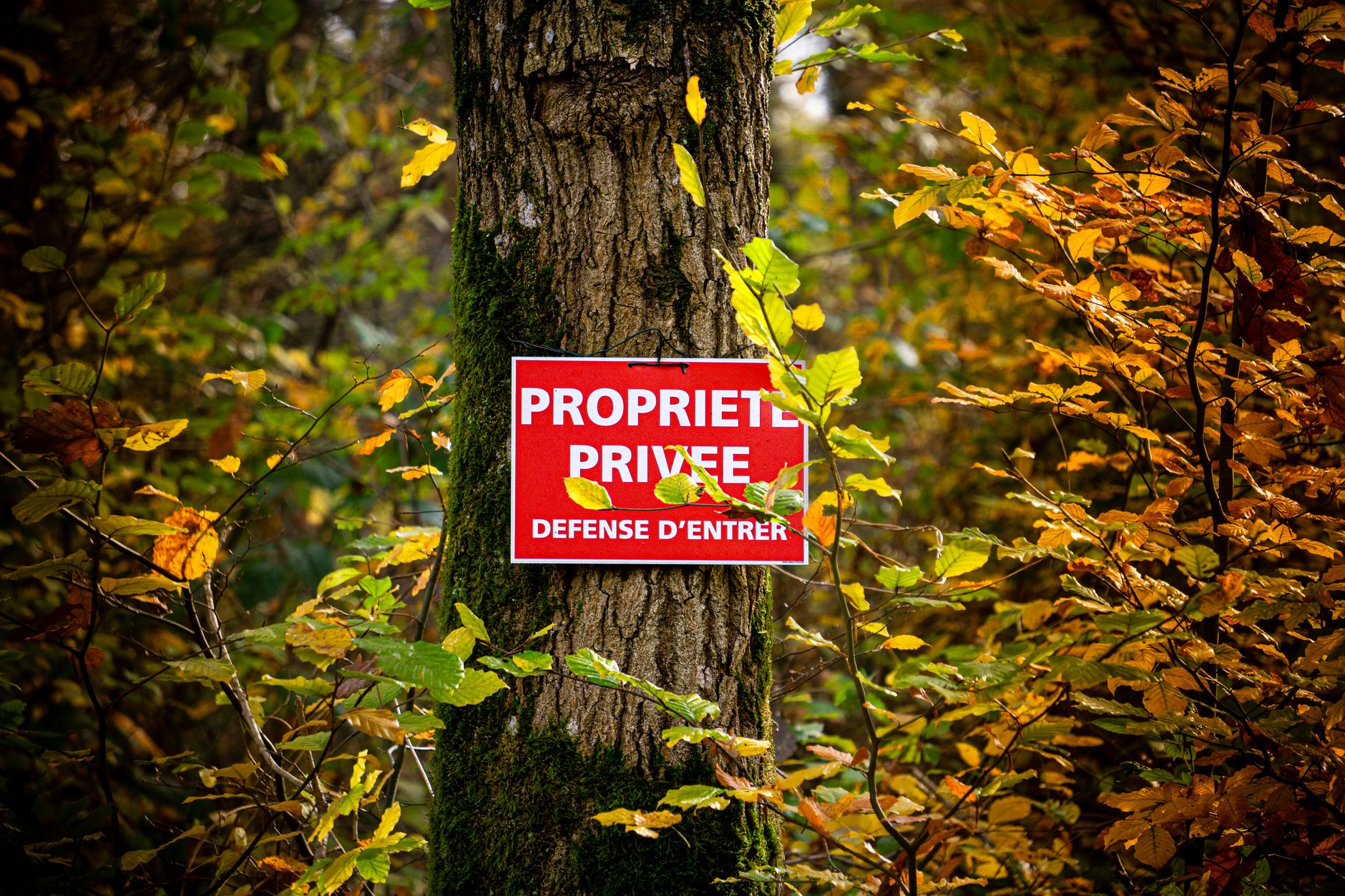 Détective privé à Perpignan